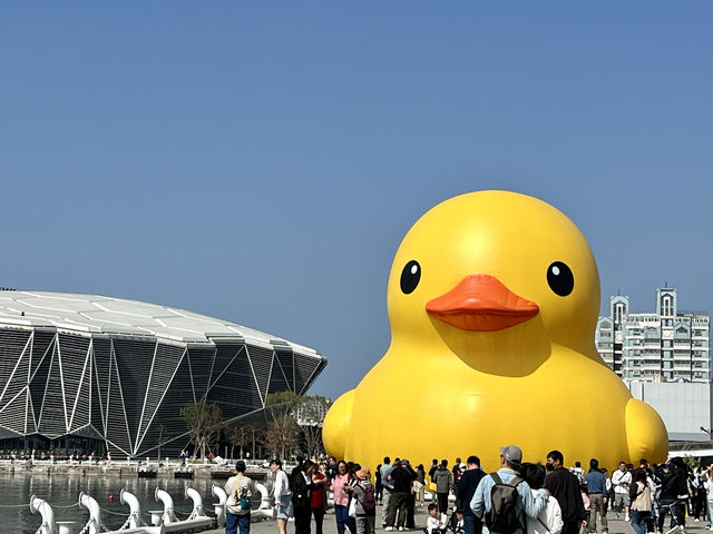 高雄市 高雄港黃色小鴨🐤
