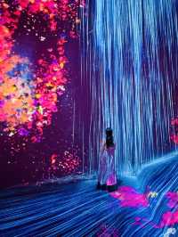 【麻布台】魔法のアート空間💫麻布台ヒルズに誕生したteamLab Borderlessで夢の世界へ