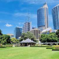 The Royal Botanic Garden of Sydney 