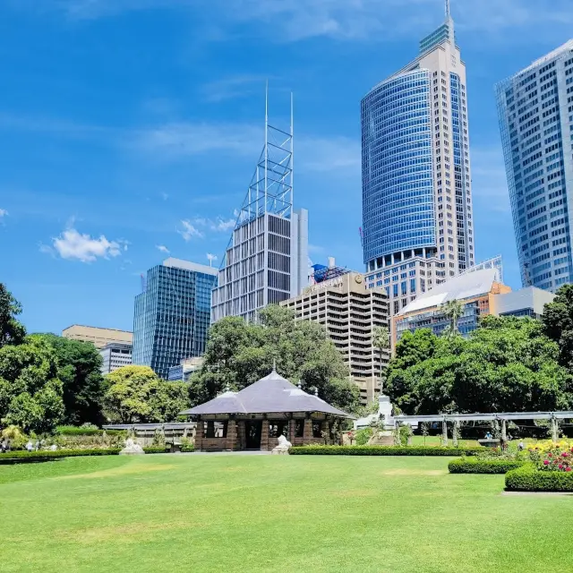 The Royal Botanic Garden of Sydney 