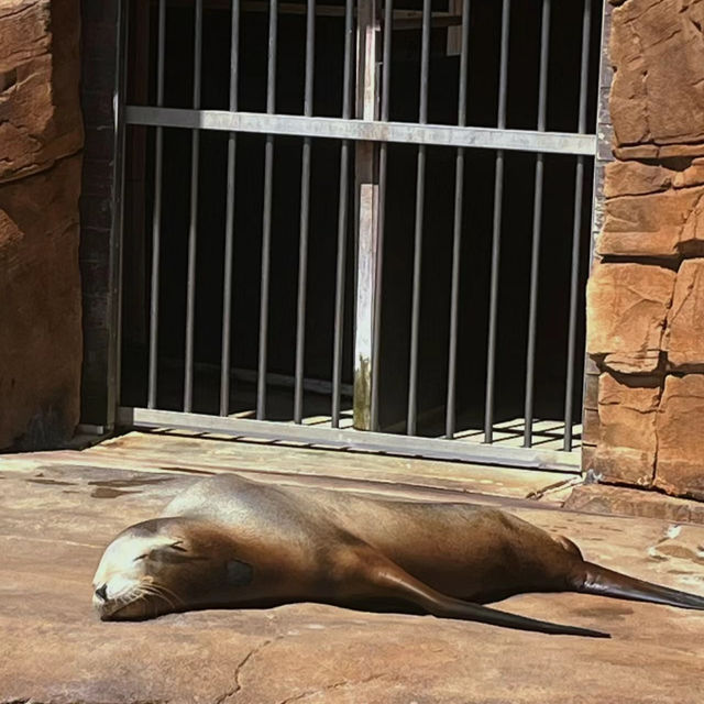 【鳥羽水族館】海底奇景～視覺與味覺的雙重饗宴