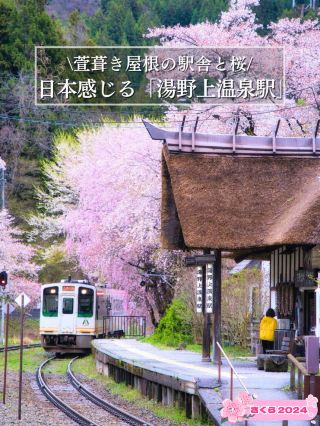 【福島・櫻花】全國罕見的充滿日式風情的賞櫻景點※附周邊觀光資訊