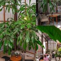 Padee in the wild (ปาฎี)