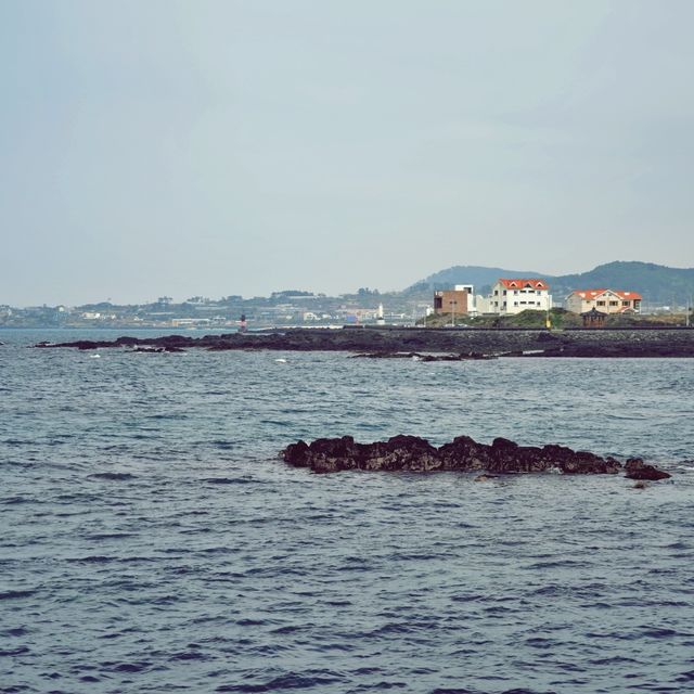 🧜‍♀️ 한수풀해녀학교, 제주해녀 문화의 전승자