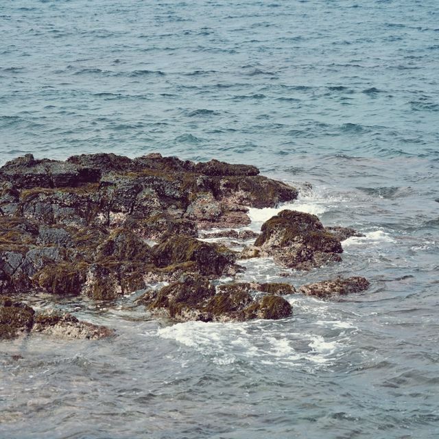 🧜‍♀️ 한수풀해녀학교, 제주해녀 문화의 전승자