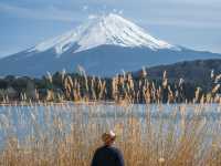 🇯🇵 วันเดียว เที่ยว 5 ทะเลสาบ รอบฟูจิ 🗻