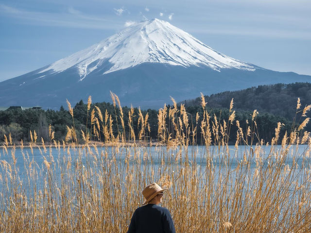 🇯🇵 วันเดียว เที่ยว 5 ทะเลสาบ รอบฟูจิ 🗻
