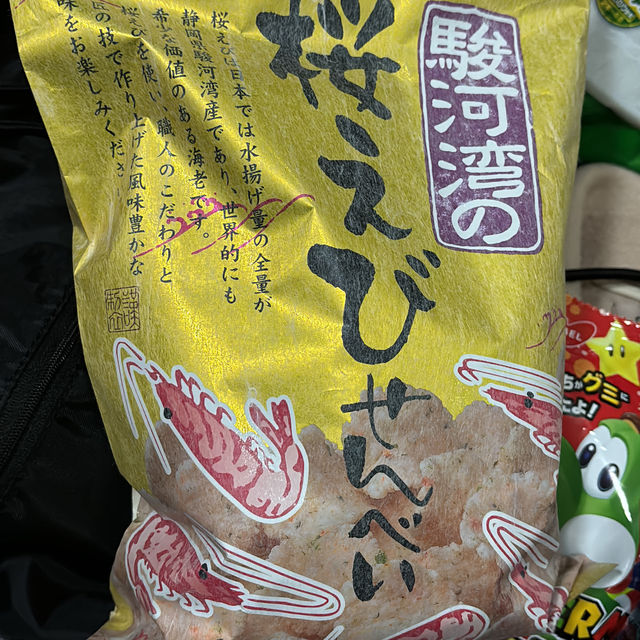 充滿櫻花模式🌸嘅強羅公園