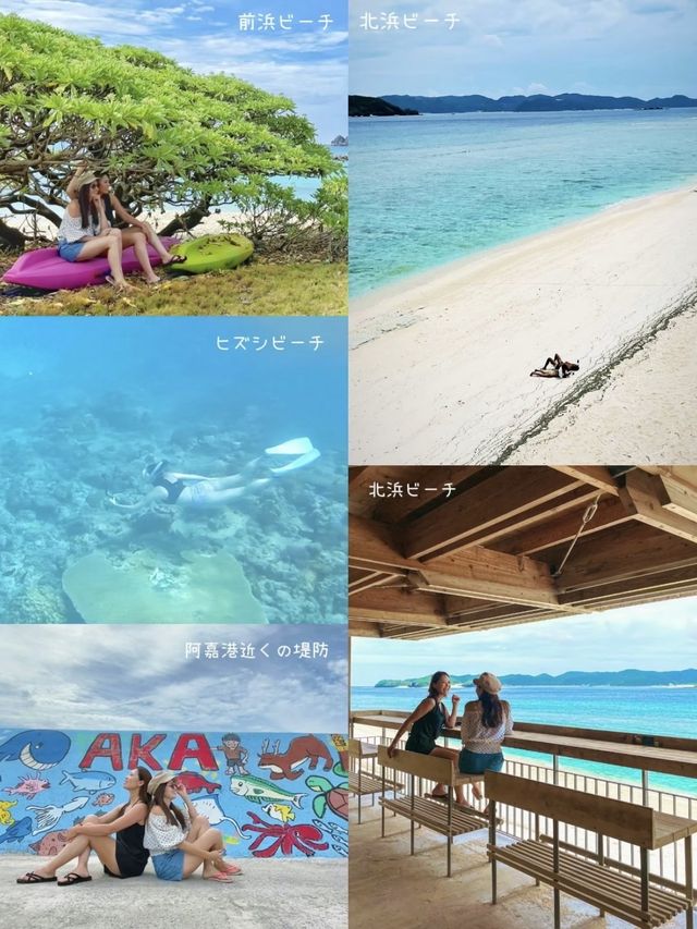 【沖縄・阿嘉島】沖縄本島から日帰りで行けるおすすめ離島