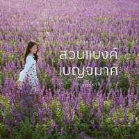 สวนแบงค์เบญจมาศ Flower Cafe