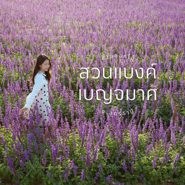 สวนแบงค์เบญจมาศ Flower Cafe