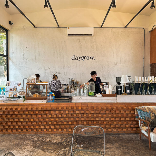 Daygrow cafe ลำปาง ☕️✨