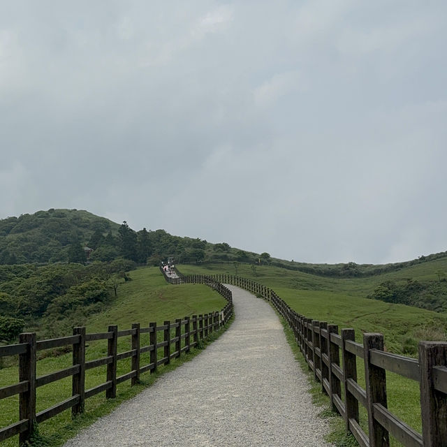 📍Qingtianggang Grassland