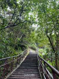 Elephant mountain เดินขึ้นเขาชมวิวตึกไทเป 101