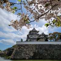 Sakura and the Castle🌸