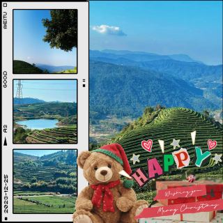 珠海西門山觀光茶園：青山綠水間的高山茶園，品質高的香醇茶湯