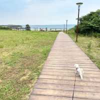 新北貢寮-藍灣咖啡廳｜鹽寮海濱公園