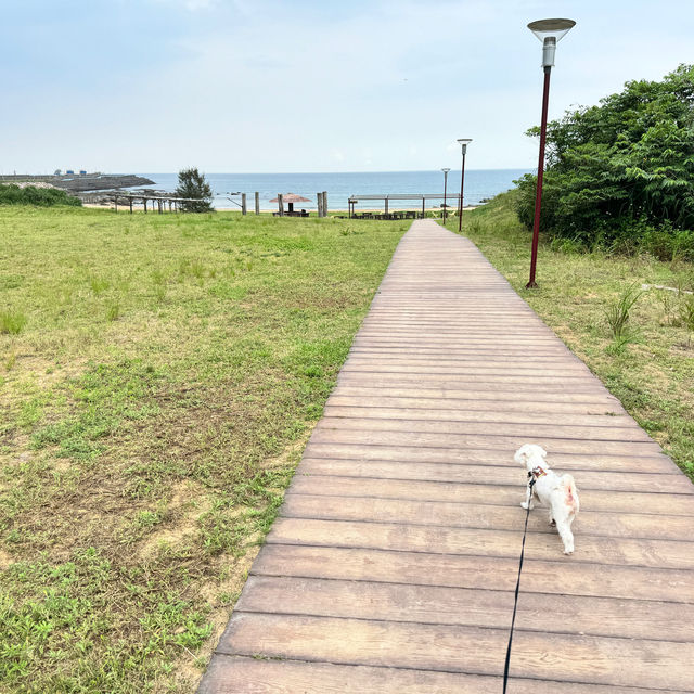 新北貢寮-藍灣咖啡廳｜鹽寮海濱公園