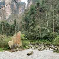 只能用壯麗來形容的「🌳張家界國家森林公園」🌳