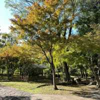 「龍正院」：高蹺藝術手法、獨特園景，春天好去處