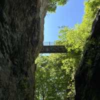 Loggerheads Country Park