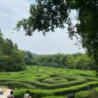 役政公園～綠洲中的湖光山色～寧靜放鬆