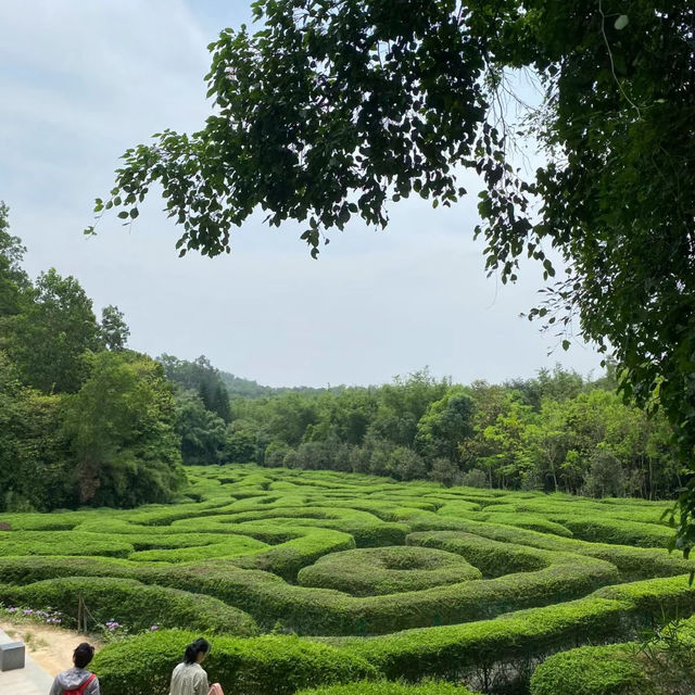 役政公園～綠洲中的湖光山色～寧靜放鬆