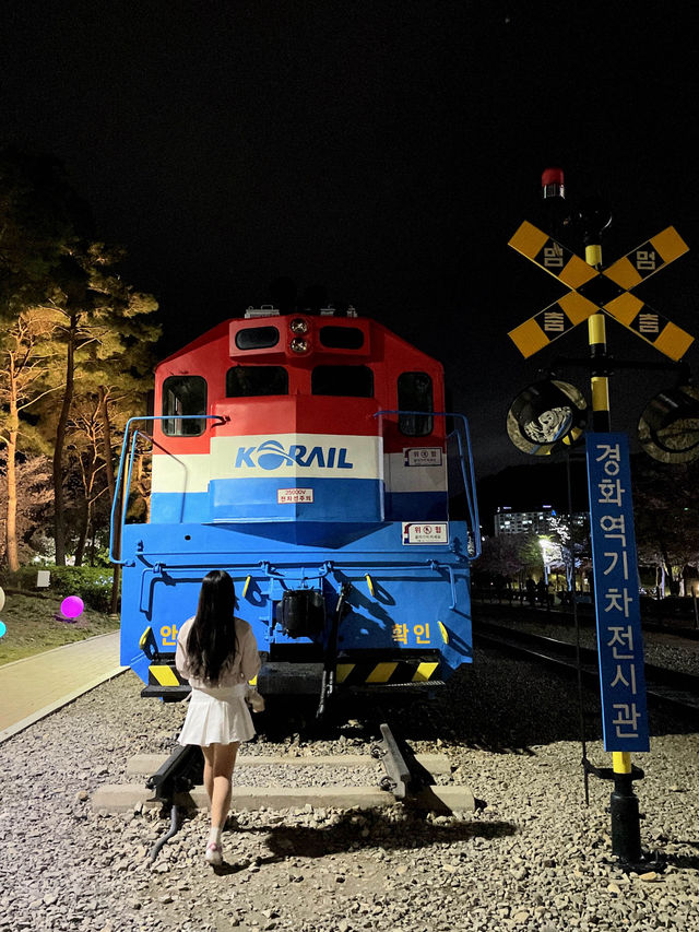 야간도 너무 예쁜 진해 군항제💗