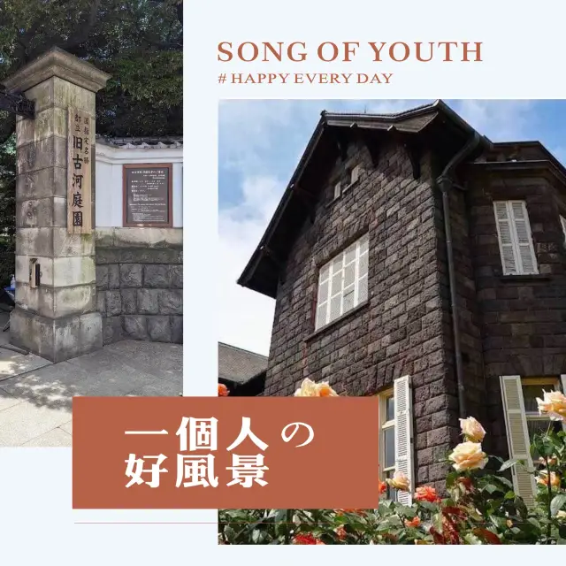 春天下的特色庭院✨🥰