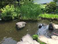 悠然漫步好古園：姬路城的靜謐之美