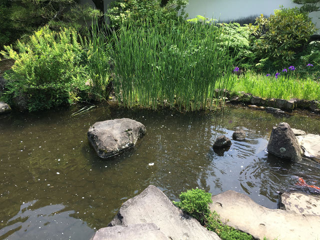 悠然漫步好古園：姬路城的靜謐之美