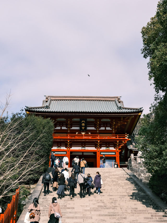 🇯🇵 鐮倉 一起在夏天去鐮倉看海吧🌊