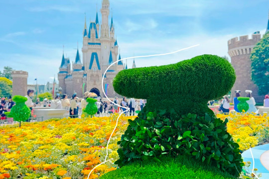 ディズニー】ドナルド好きは集まれー!!期間限定のフォトスポが可愛