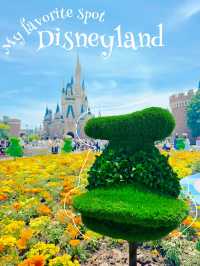 【ディズニー】ドナルド好きは集まれー!!期間限定のフォトスポが可愛すぎる💙