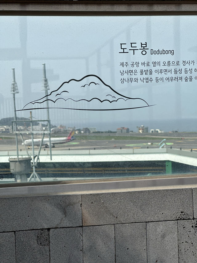 제주여행의 마무리는 ✈️ 제주공항 전망대에서 오션뷰 즐기기!