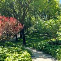 ```東湖公園～適合放鬆的綠色勝地```