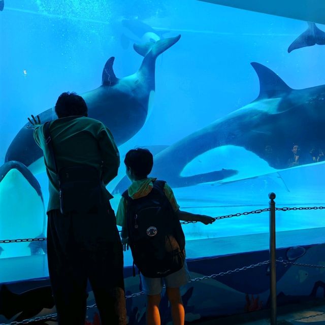 Zhuhai Chimelong Spaceship Park