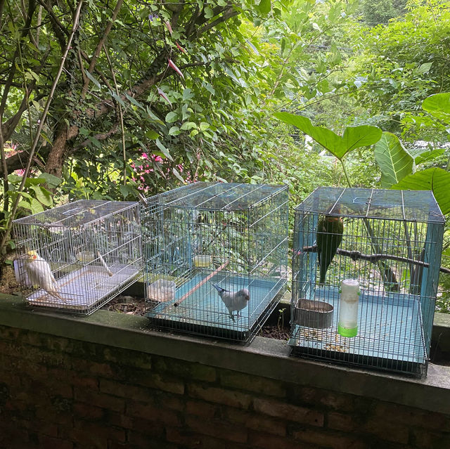 芳裕農場-基隆七堵養生餐廳