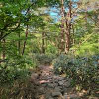 「春天踏青必去！象山步道，山谷城市景色一覽無遺！」