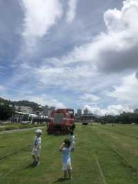 高雄一日遊「駁二藝術特區」好寬敞好走跳☀️