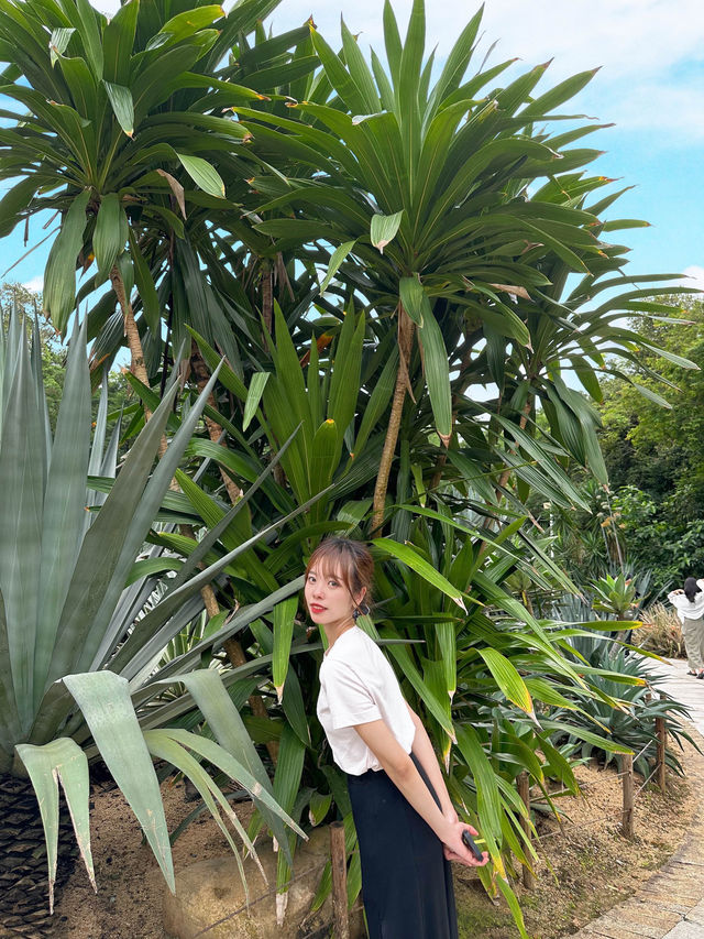【大自然之旅】仙湖植物園：適合現在前往！