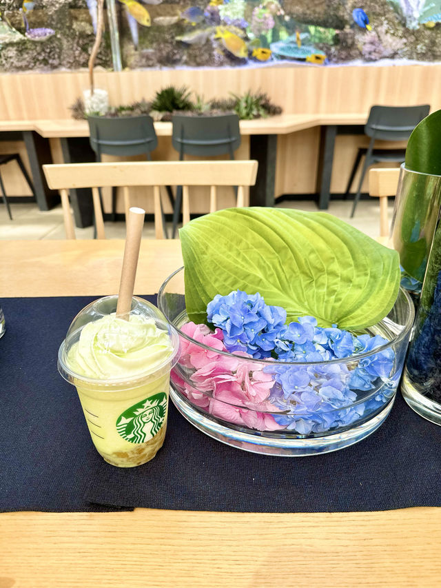 〜東京都〜混まない！一日楽しめる穴場あじさいスポット！