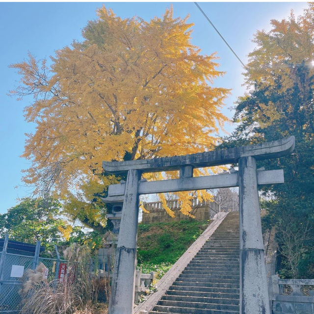 【福岡観光】直方観光はこちらへ