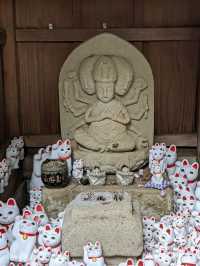 日本東京-來豪德寺帶隻招福貓回家吧！