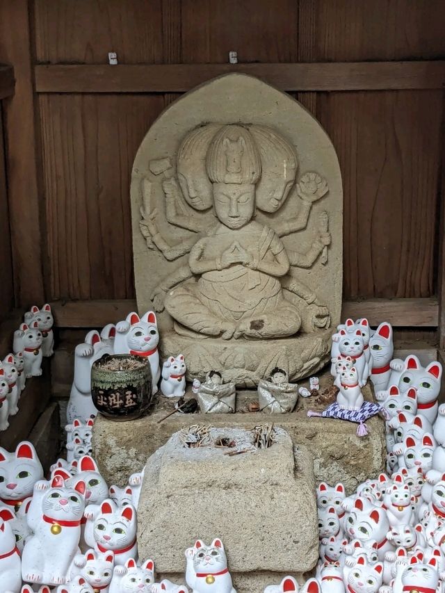 日本東京-來豪德寺帶隻招福貓回家吧！