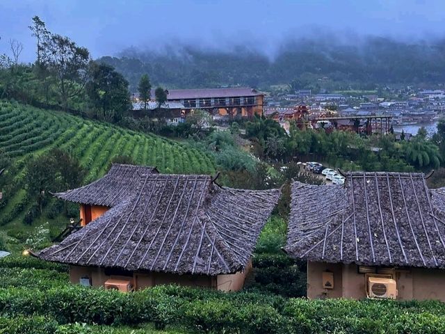 ขึ้นดอยหน้าฝน⛈️  พักบ้านดิน เดินเก็บยอดใบชา🍃