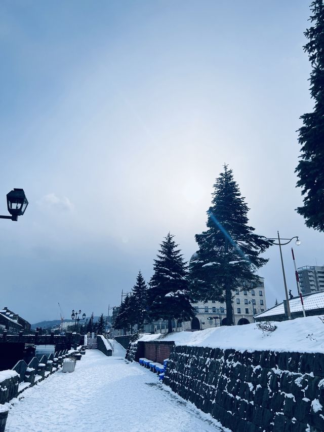 Otaru in Winter | Japan🇯🇵