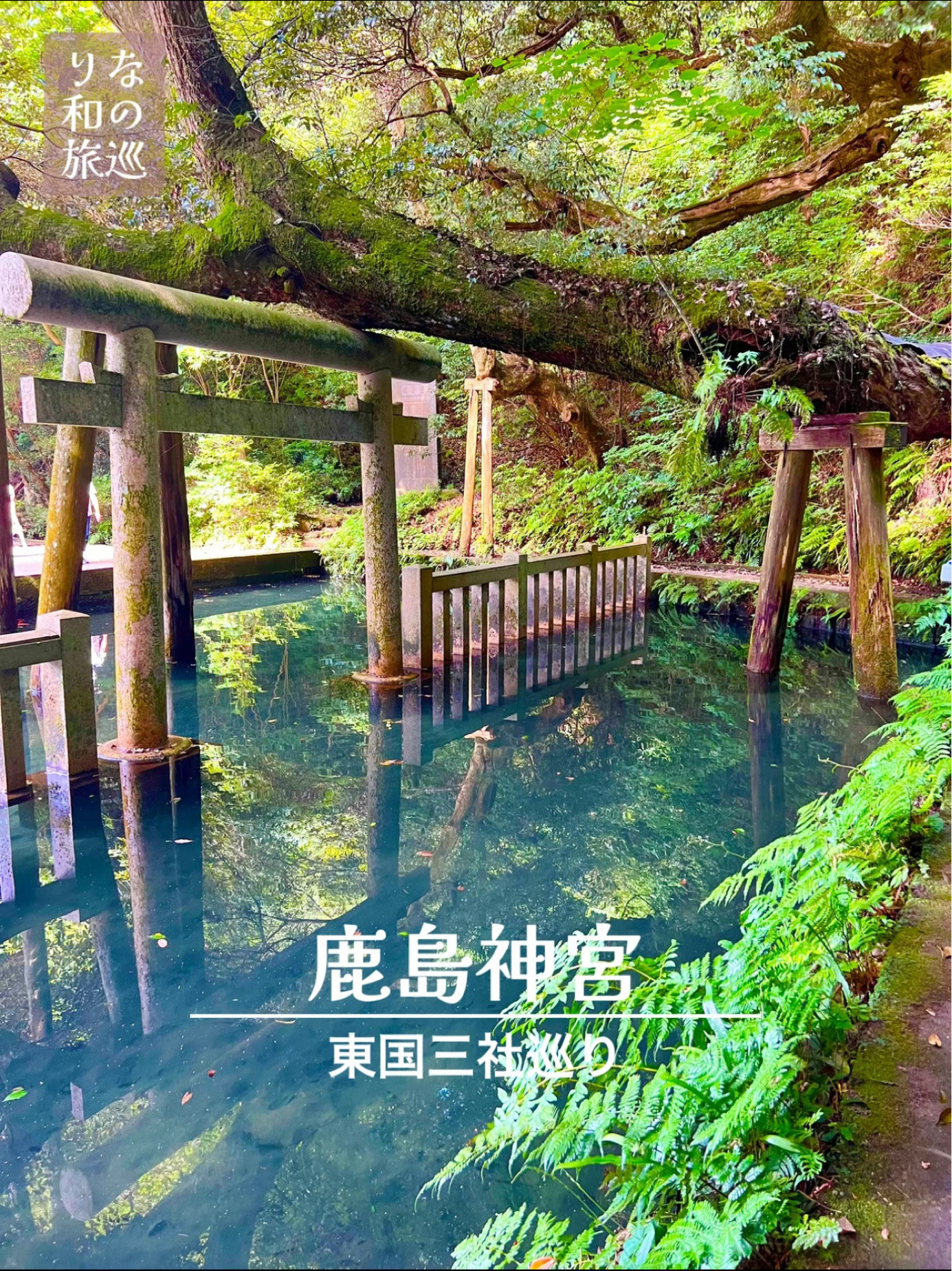 ~Ibaraki Prefecture~ A power spot with a mysterious pond!