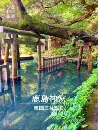 〜茨城県〜神秘的な池があるパワースポット！