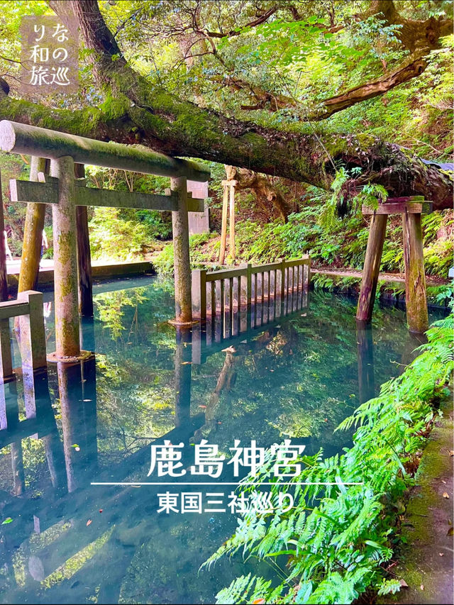 〜茨城県〜神秘的な池があるパワースポット！